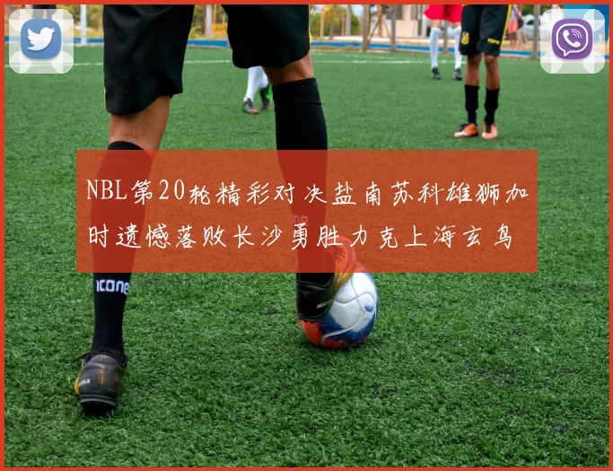 NBL第20轮精彩对决盐南苏科雄狮加时遗憾落败长沙勇胜力克上海玄鸟